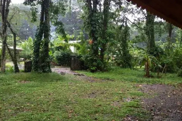 outside
