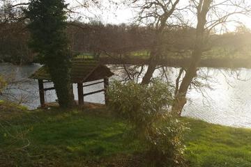 Photo 40