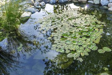 Hotel Exterior 28 of 33