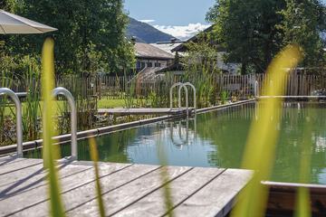 Natural pool