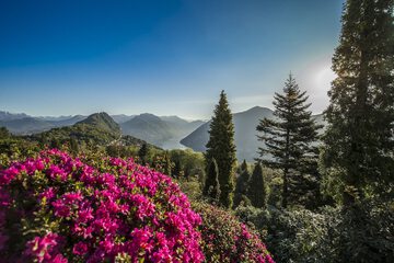 Land view from property