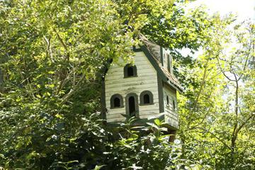 Photo 26