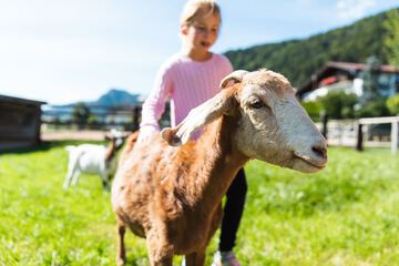 Children's activities