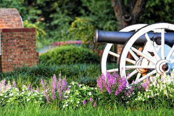 Property Grounds 50 of 52