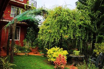 Photo 12