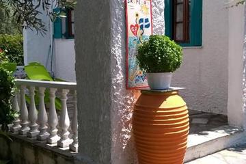 Photo 44