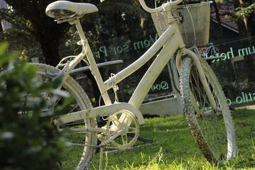Bicycling
