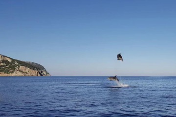 Ecotours