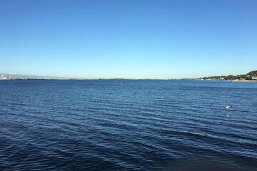 Terrace/Patio 39 of 62