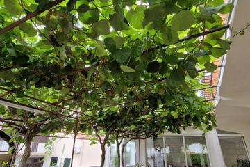 Photo 37