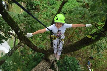 Ropes course (team building)