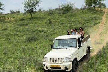 Safari