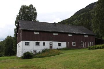 Photo 19