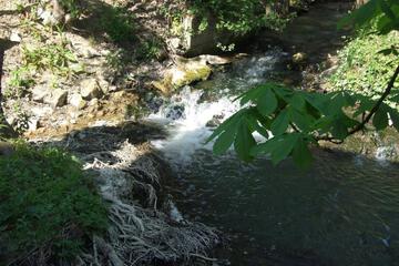 Photo 25