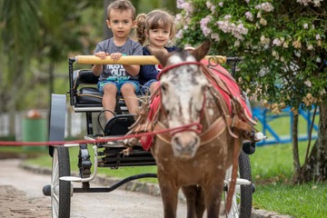 Horseback riding