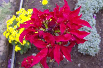 Photo 64
