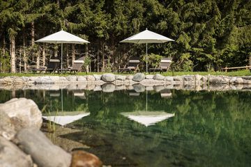 Natural pool