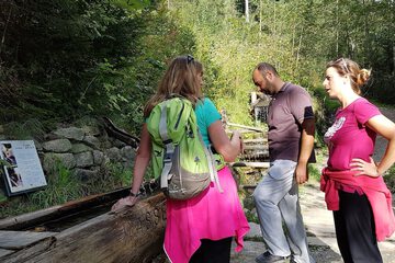 Ecotours