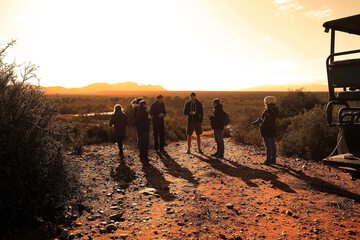 Game viewing