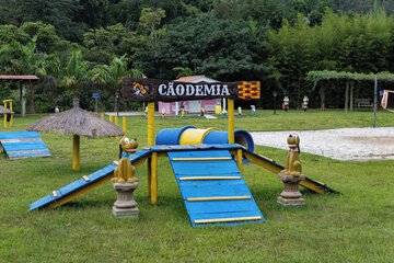 Pet-friendly amenities