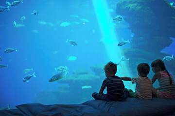 Children's activities