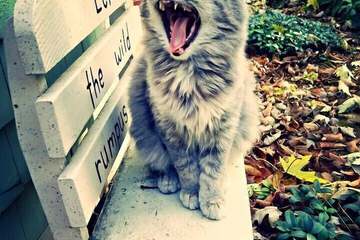 Hotel Exterior 80 of 87