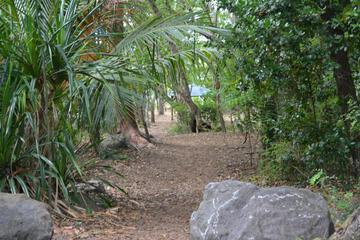 Photo 32