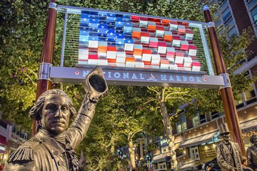 Land view from property