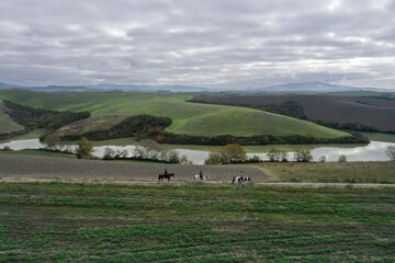 Horseback riding
