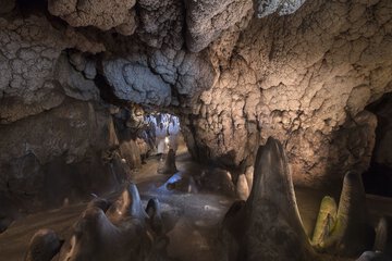 Steam room