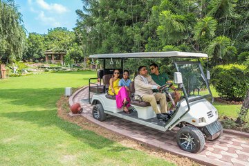 Golf cart