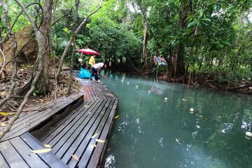 Ecotours