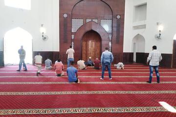 Photo 33