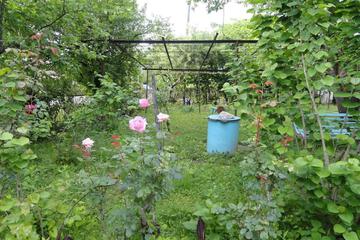 Photo 76
