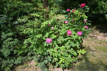 Photo 47