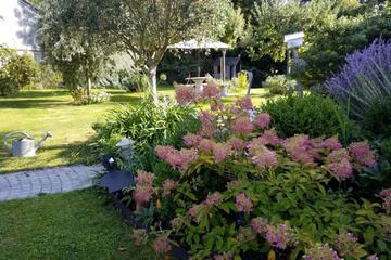 Photo 44
