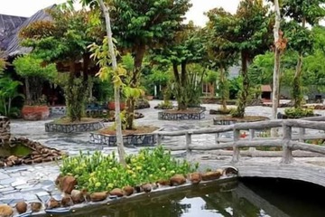 Photo 21