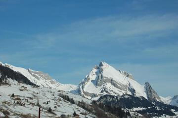 Photo 43