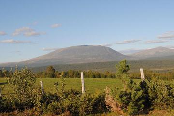 Photo 32