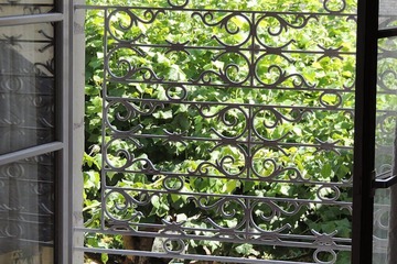 View from room