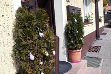 Photo 43