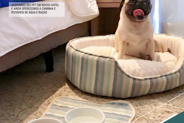 Pet-friendly