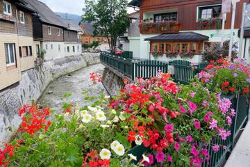 Photo 42