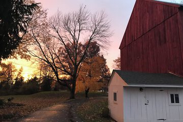 View from property