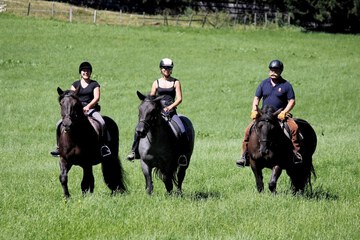 Horseback riding