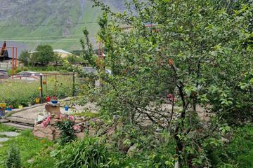 Photo 40