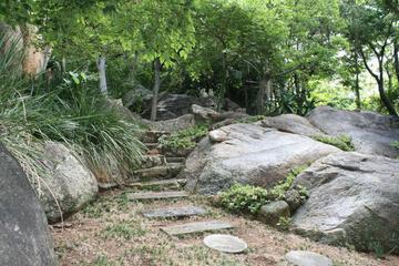 Photo 48