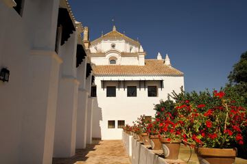 Building design