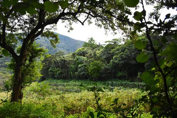 surroundings