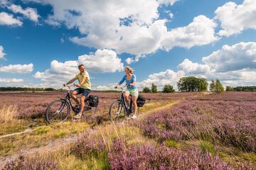 Bicycling